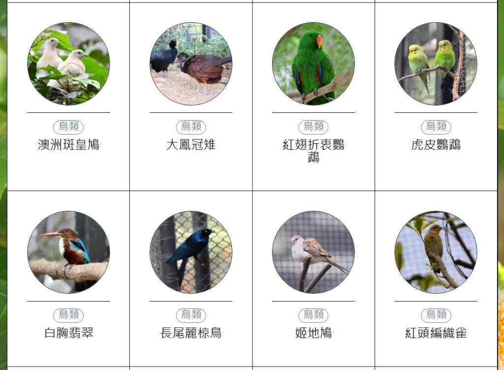 香港動植物公園動物圖鑑。「香港動植物公園」官方網站截圖 香港動植物公園動物圖鑑。「香港動植物公園」官方網站截圖