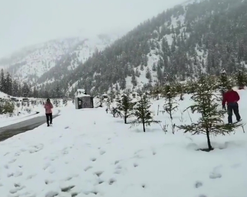 雲南德欽縣白馬雪山五月落大雪。(網圖)