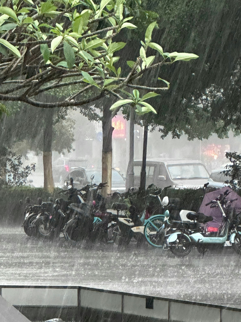 广东降雨主要集中在广东的中南部。