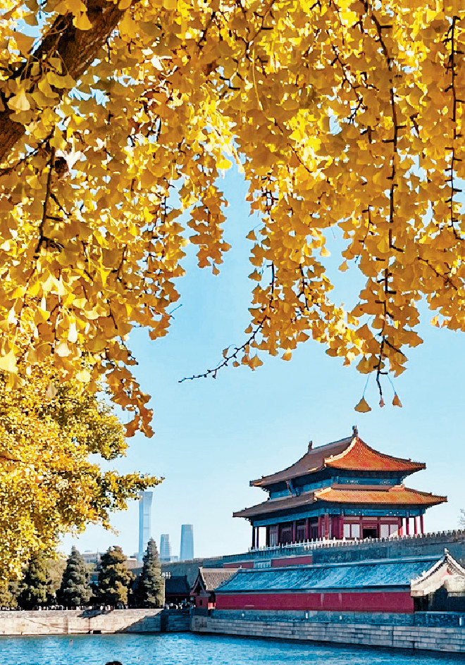 ■從西什庫漫步到故宮，沿途景色宜人。
