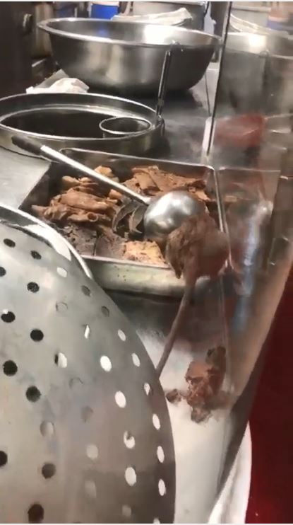 影片截圖