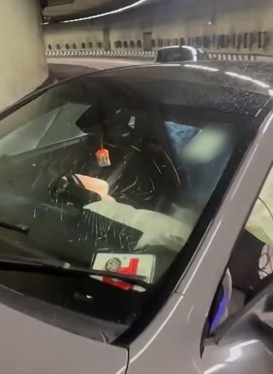車窗有P牌。網片截圖