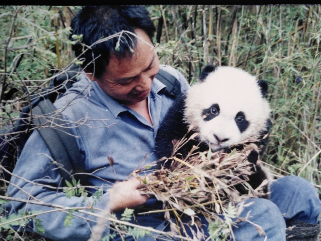 胡錦被譽為中國大熊貓研究第一人、國際公認的大熊貓生態生物學研究的奠基人。網圖