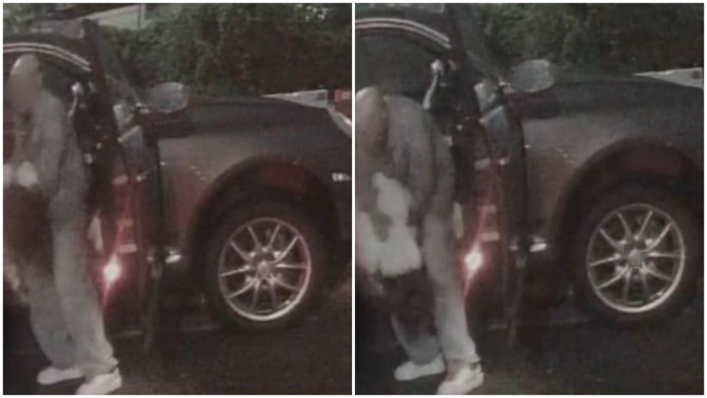 光頭男狂毆白衣女。fb香港馬路炸彈資料庫影片截圖