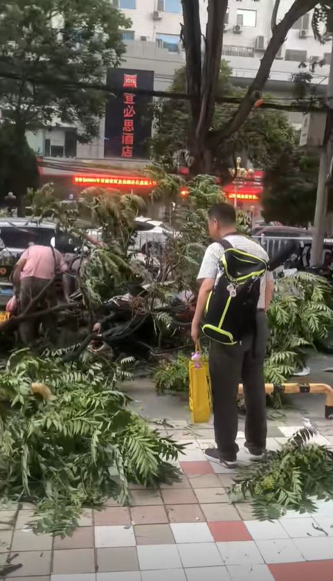 怪風下，蘭州大量樹木受損，汽車被砸毀。抖音