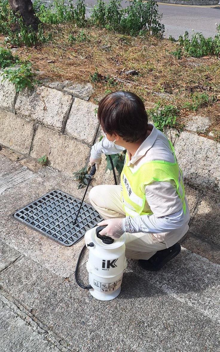 食環署承辦商人員沿青衣自然徑及附近一帶,在無法即時處理的積水地方施放蚊油或殺幼蟲劑。食環署FB圖片 食環署承辦商人員沿青衣自然徑及附近一帶,在無法即時處理的積水地方施放蚊油或殺幼蟲劑。食環署FB圖片