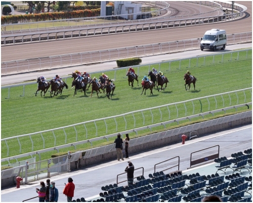 馬會指沙田馬場僅會作為馬會馬房員工、持牌人士及賽馬傳媒的工作場所。資料圖片