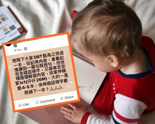一名港媽嫌2歲多的兒子只記得書中內容而不認得字。unsplash圖片(小圖為「生仔要考牌系列」Facebook圖片)