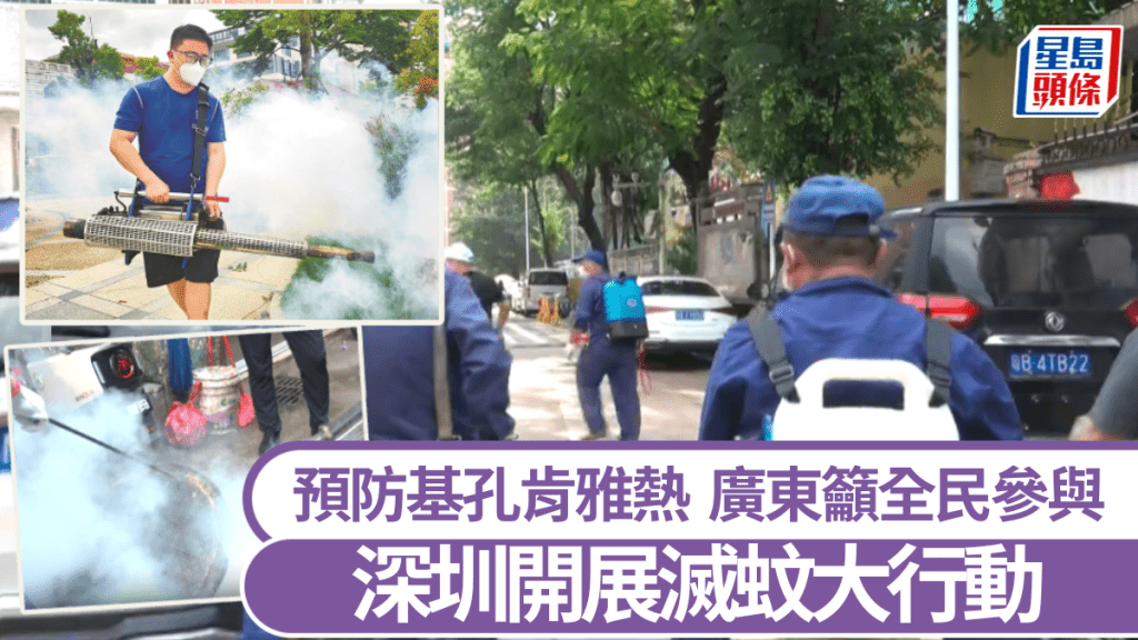 深圳開展滅蚊大行動預防基孔肯雅熱，廣東呼籲全省市民參與。