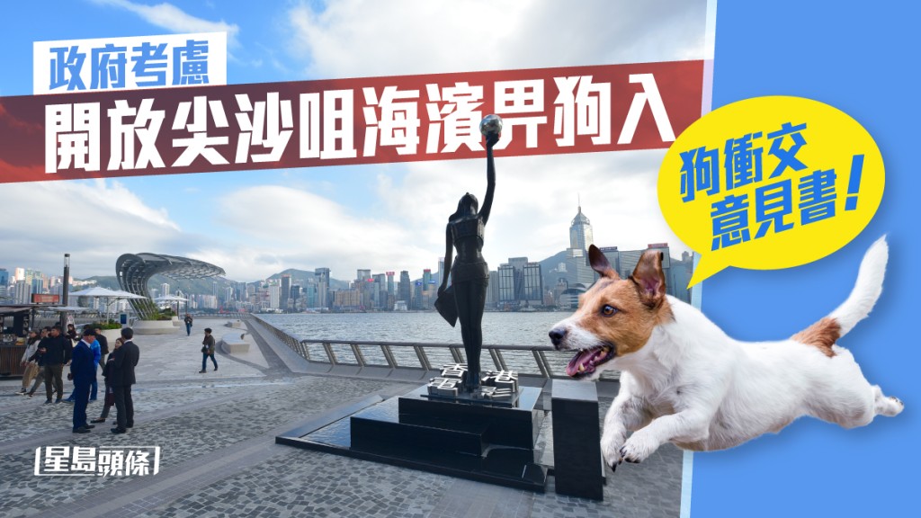 星光大道丨擬開放寵物進入海旁 公眾諮詢尚餘一星期 市民反應兩極