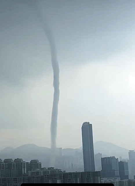 維港海面驚現水龍捲。 網圖