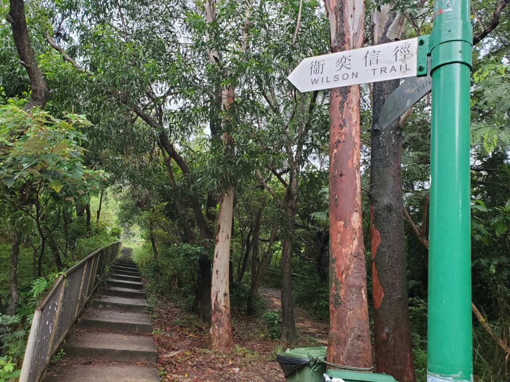 女子今早原欲行至将军澳配水库。 蔡楚辉摄
