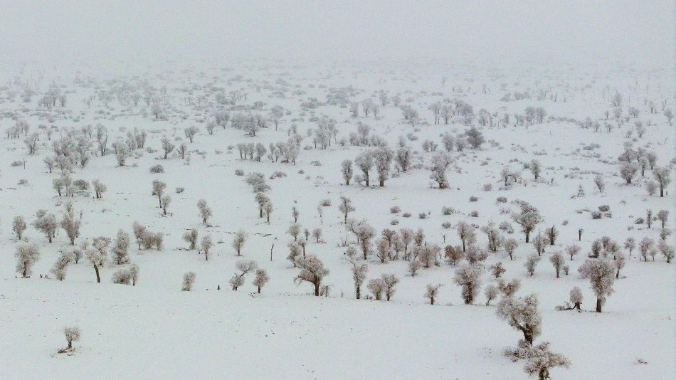 新疆塔克拉瑪干沙漠現「雪海」奇景。（微博）