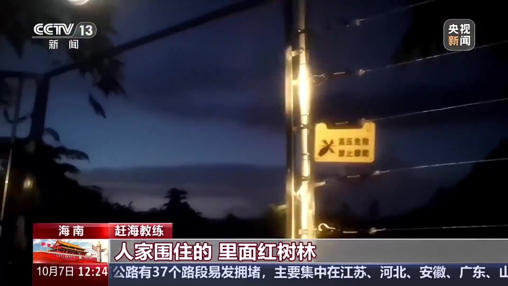 央视踢爆海南红树林遭非法开发,商家剪电网带客闯保护区。 央视 央视踢爆海南红树林遭非法开发,商家剪电网带客闯保护区。 央视