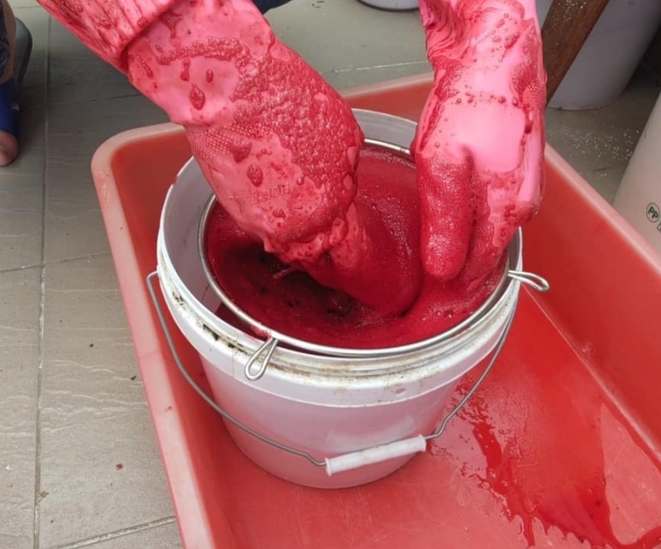 网传故宫用猪血辟邪，专家澄清是建筑智慧。 网片截图