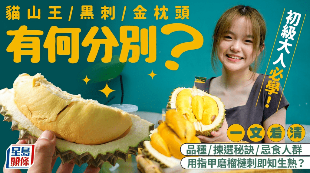 初級大人必學！貓山王/黑刺/金枕頭有何分別？用指甲磨榴槤刺即知生熟？一文睇清品種/揀選秘訣/忌食人群