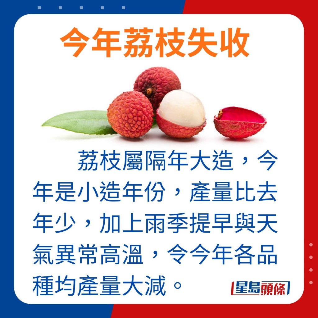 辉哥解释荔枝收成易受天气影响，并属于隔年大造的水果。今年正是荔枝小造年份，即是产量会比去年少，加上雨季提早与天气异常高温闷热，令今年荔枝产量大减