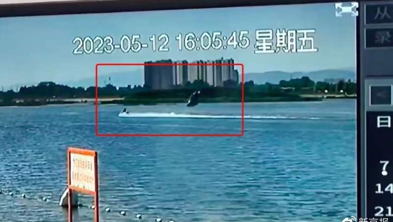 監控拍攝到「水上飛魚」翻船事發過程。