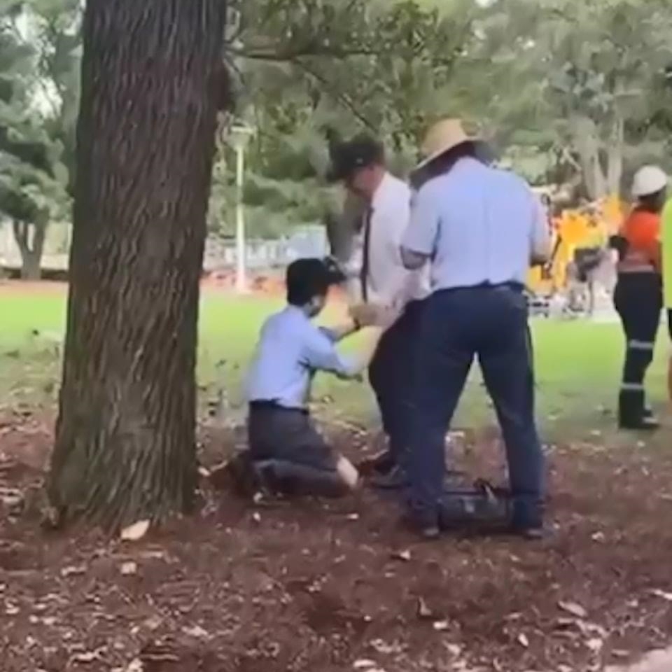 男子被揭發時掩臉跪地，向學校職員哭求。網上圖片