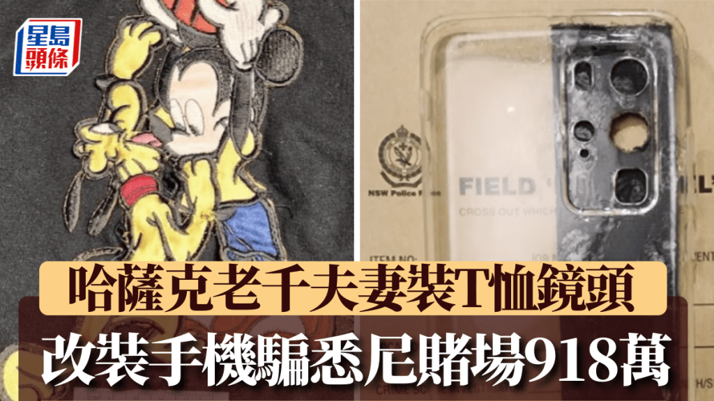 两夫妇成功骗取118万美元。新南威尔士州警方