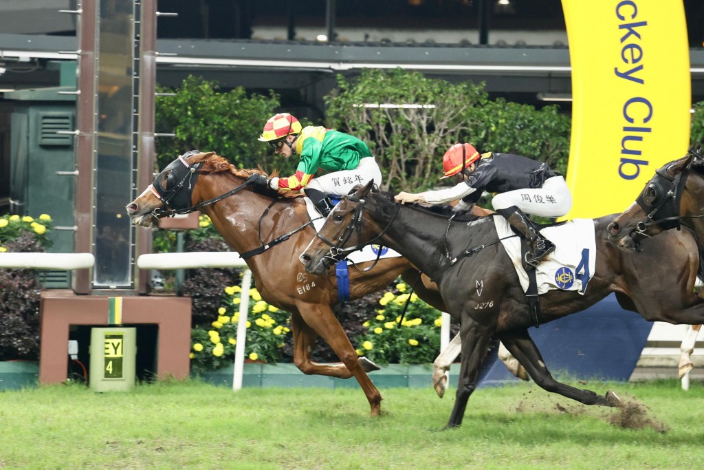 「有鴻利」在賀銘年胯下一放到底，贏得季內第三場頭馬。