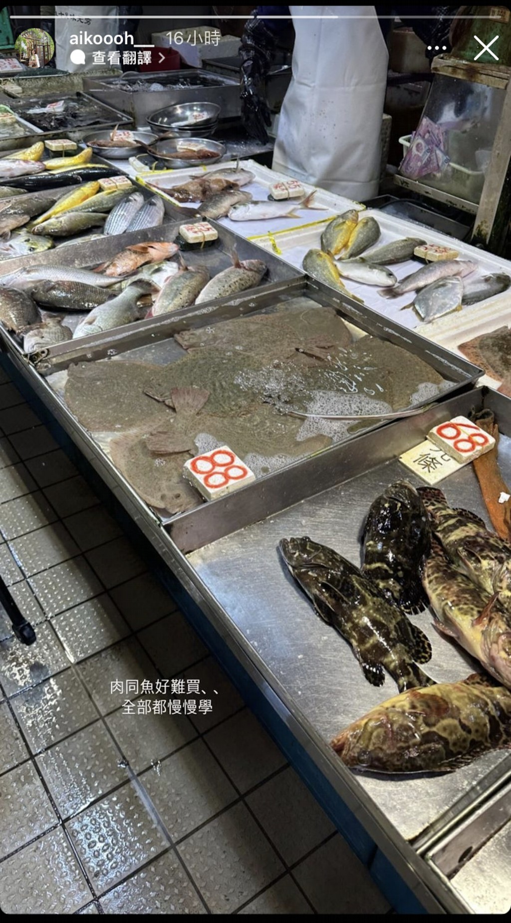 大呻魚同肉都好難買，相信好多香港人都有同感！