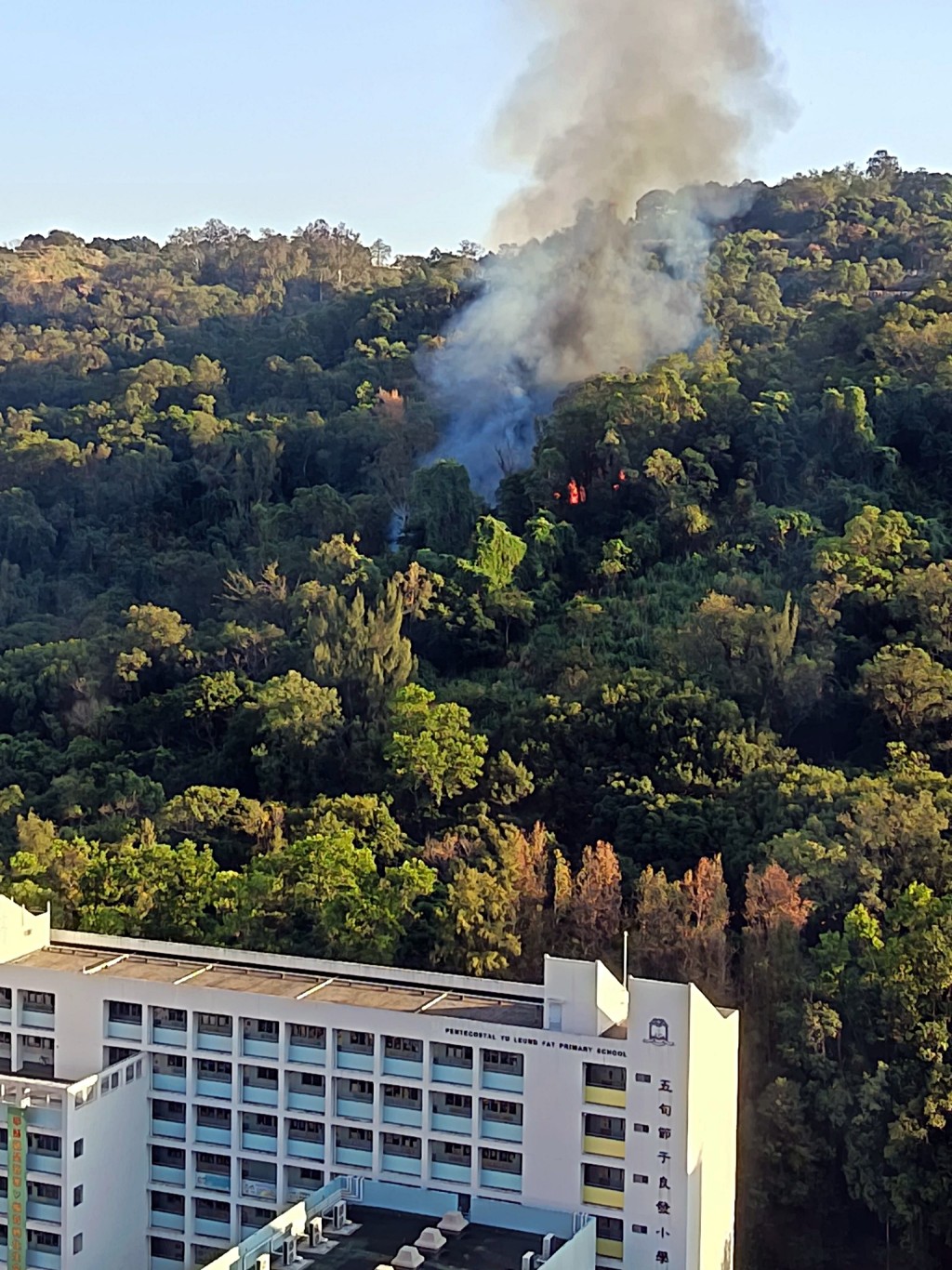 上水華明邨對開山頭發生山火。網圖