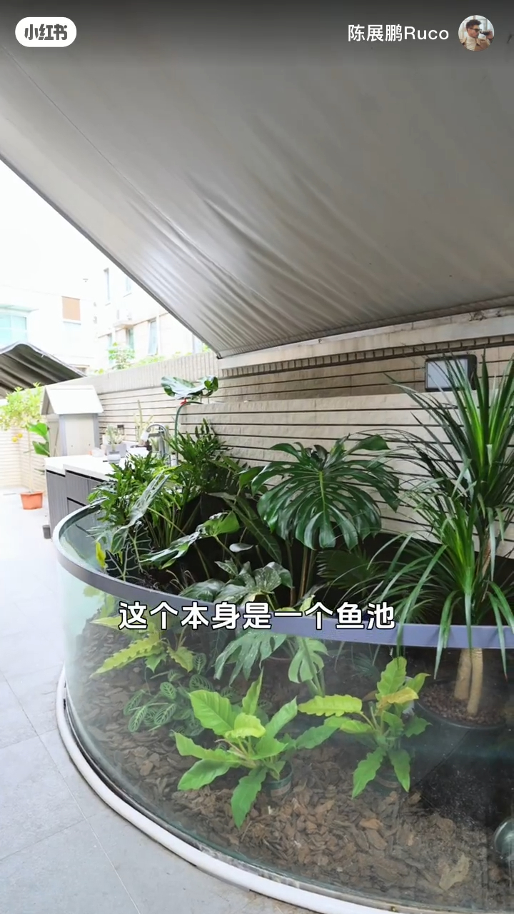 陳展鵬將舊魚池改造成植物區。 陳展鵬將舊魚池改造成植物區。