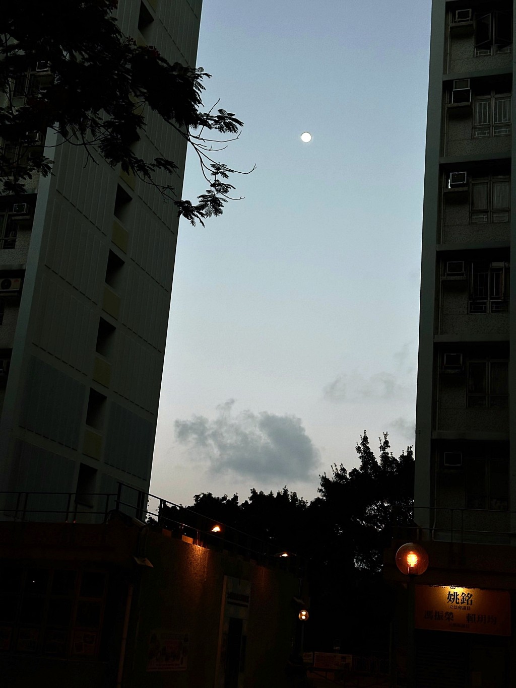 另一張相片是澤潤樓的夜色。網圖 另一張相片是澤潤樓的夜色。網圖