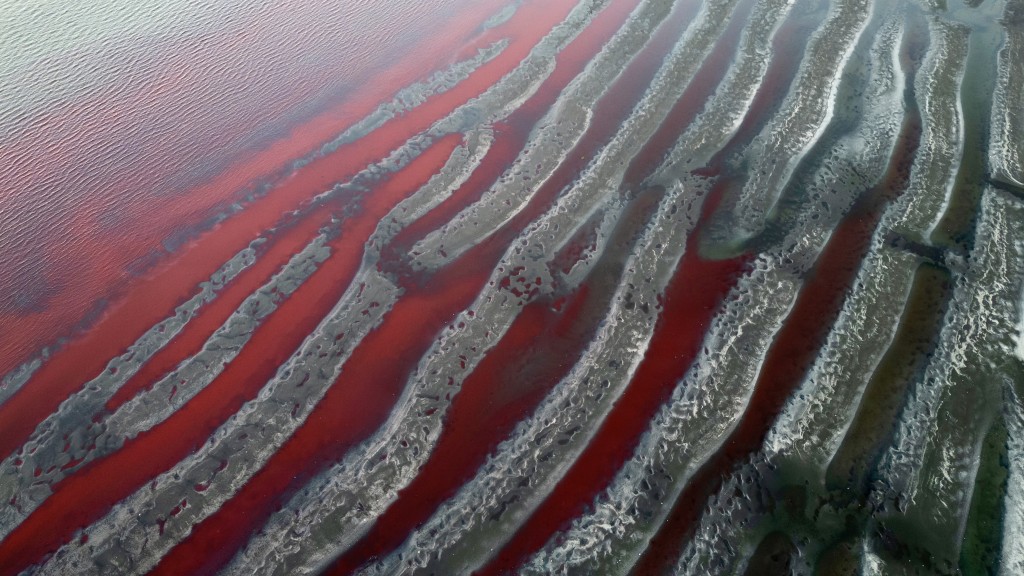 布宜諾斯艾利斯薩蘭迪河（Sarandi River）周四突然變成詭異的血紅色。 美聯社