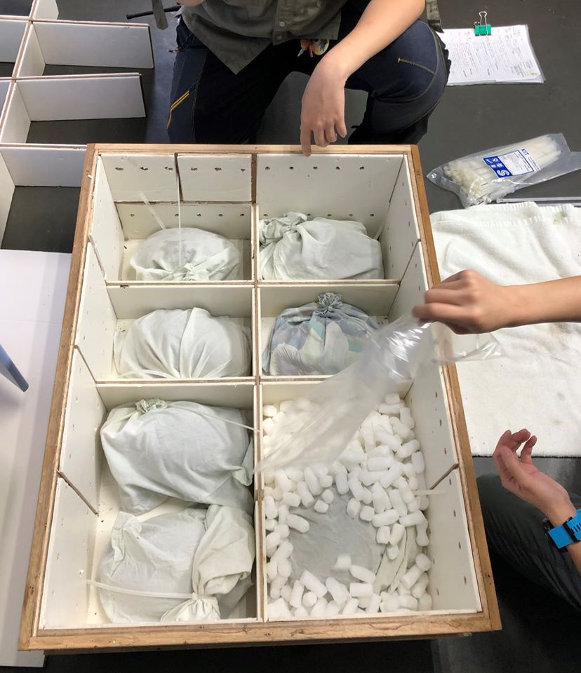 每隻黃頭象龜都以透氣棉布袋包裝妥當,配以粒狀軟墊,放入特製的木箱中。嘉道理農場暨植物園 FB