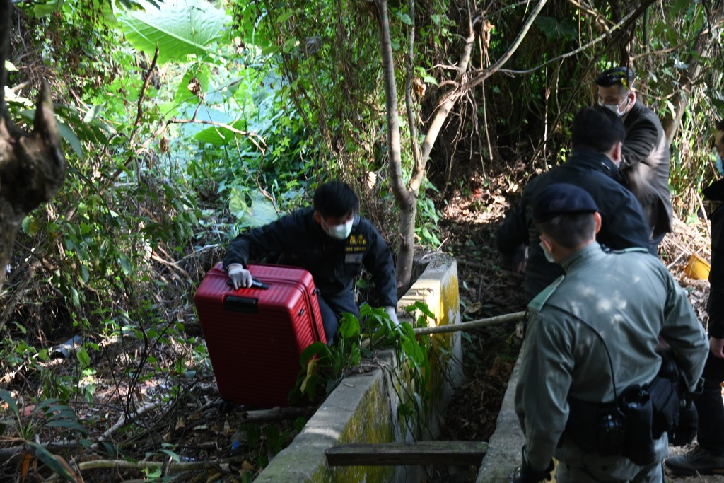 警方在劫案發生後帶疑犯到荃錦公路光板田村山坡搜證。資料圖片