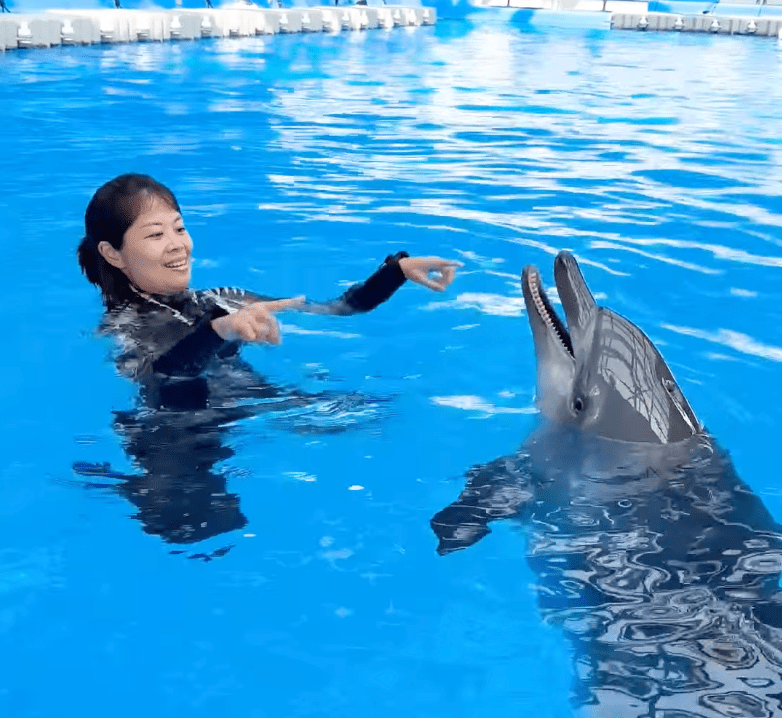 海洋公園護理員Angela同海豚Rita。海洋公園影片截圖 海洋公園護理員Angela同海豚Rita。海洋公園影片截圖