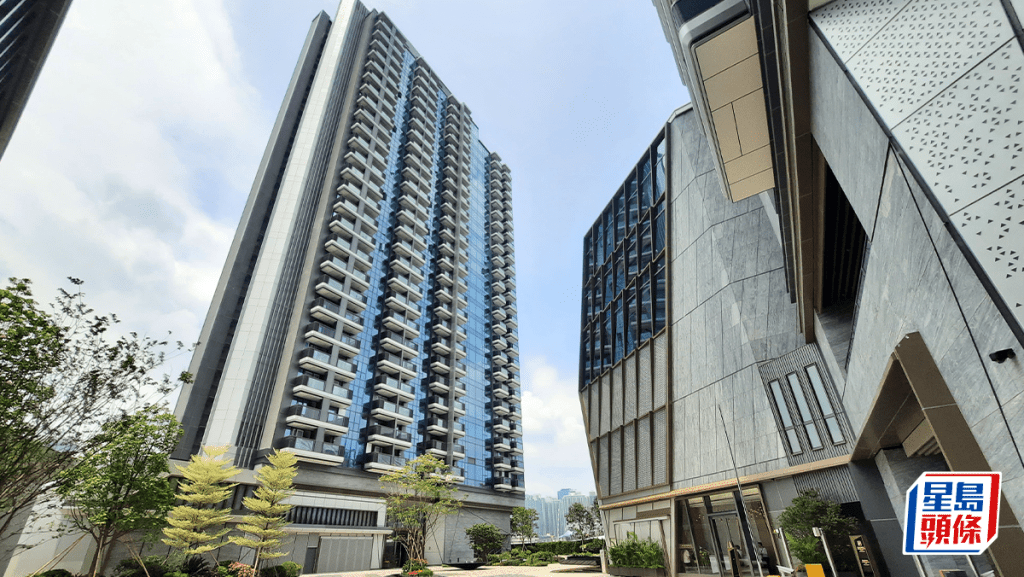 新盘大手客首10个月增16% 成交个案录约501宗