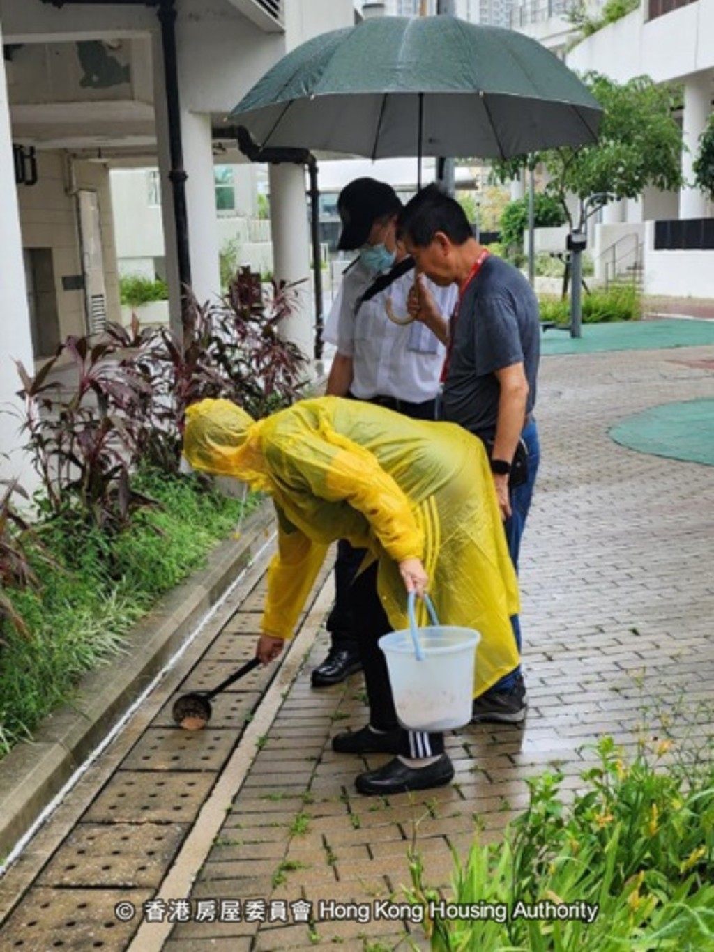 房署主動出擊,放置蚊子陷阱,噴灑蚊霧,施放蚊油及蚊沙,加強全邨消毒。 房署主動出擊,放置蚊子陷阱,噴灑蚊霧,施放蚊油及蚊沙,加強全邨消毒。