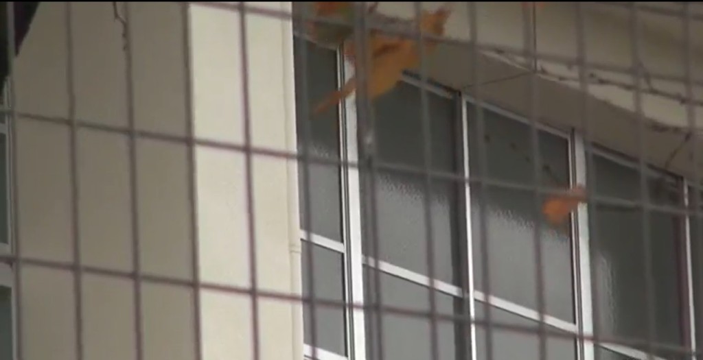 涉事學校。網上圖片