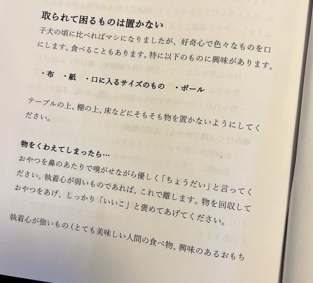 內容非常詳細，飼主寫完10頁紙還花了30分鐘跟父母說明。 X@shibayuusha