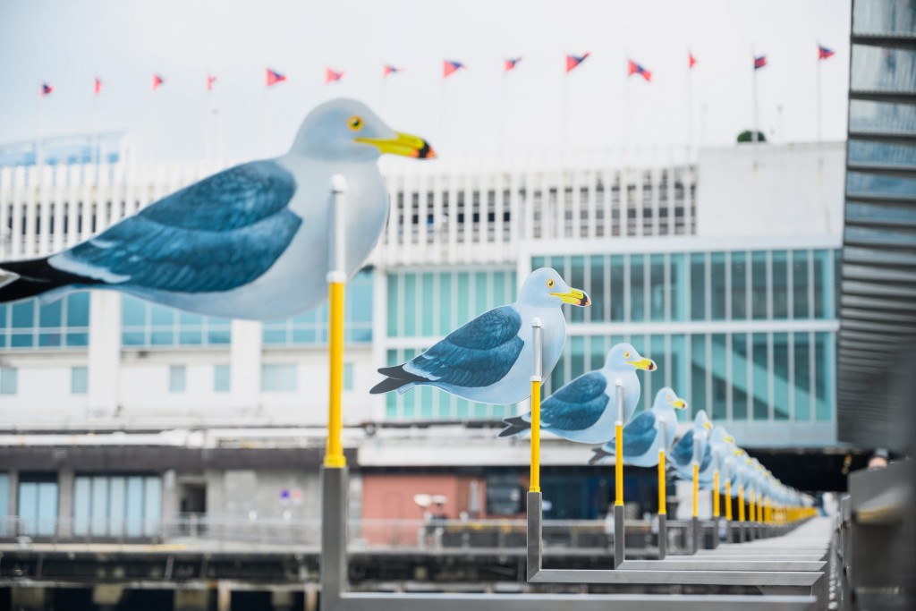 「海鷗の港」不但是一件公共藝術裝置，亦是一個讓人與大自然互動的裝置。