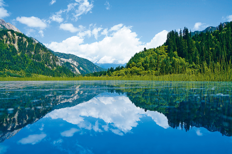 九寨溝愛情海景區是一處高山湖泊，在秋日可賞到色彩斑斕、波平如鏡的漂亮景致。