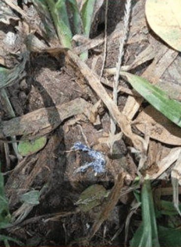 案發現場遺下電子煙爆炸後的物品。Facebook@Drama-addict 案發現場遺下電子煙爆炸後的物品。Facebook@Drama-addict