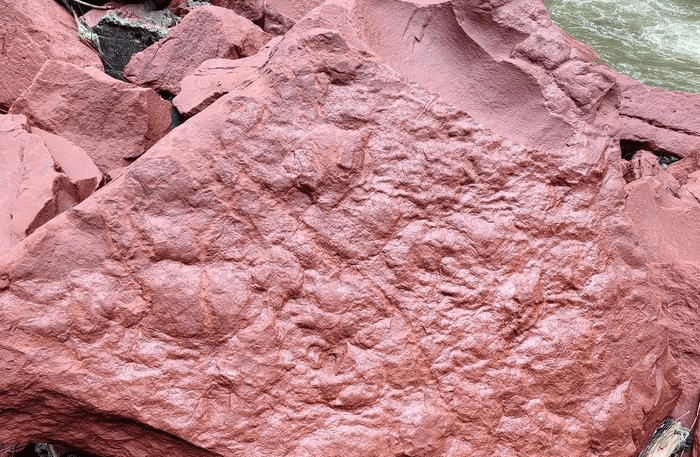 雨季被沖刷出來的恐龍足跡化石。