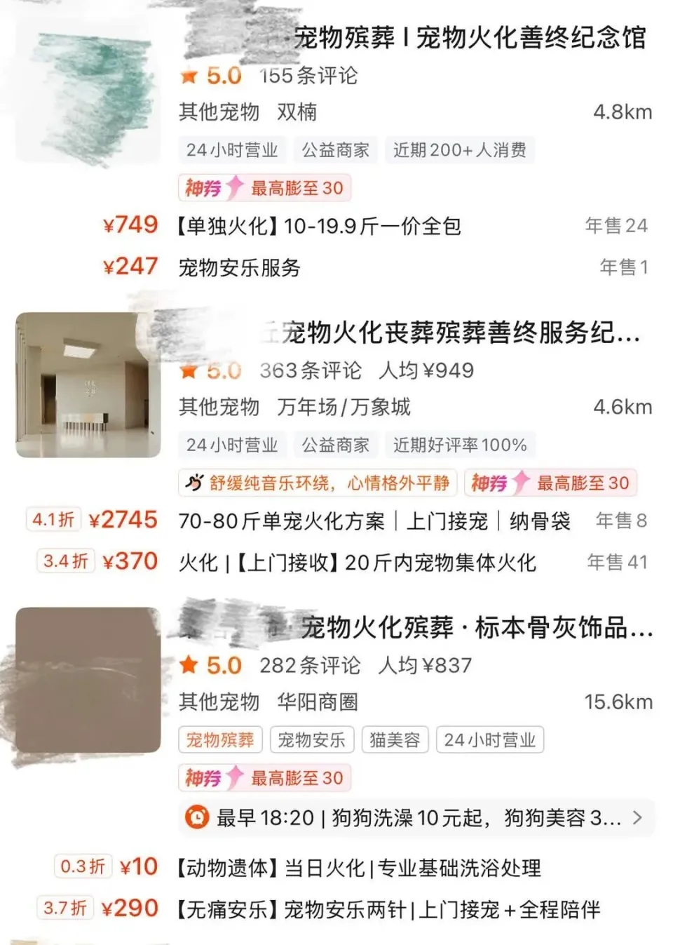 平台上可以搜索出大量宠物殡葬店家。
