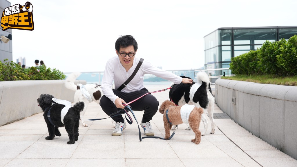 林作亦非常支持裕美為小動物發聲。