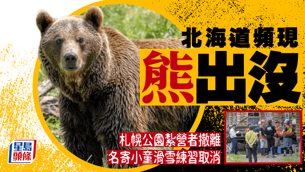 北海道近期接獲多宗「熊出沒」目擊報告。