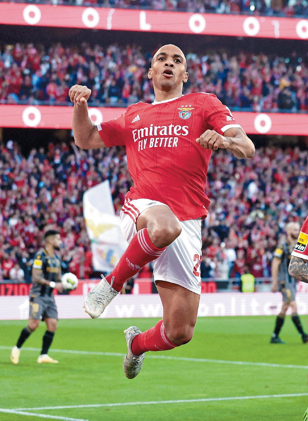 宾菲加翼锋
祖奥马里奥