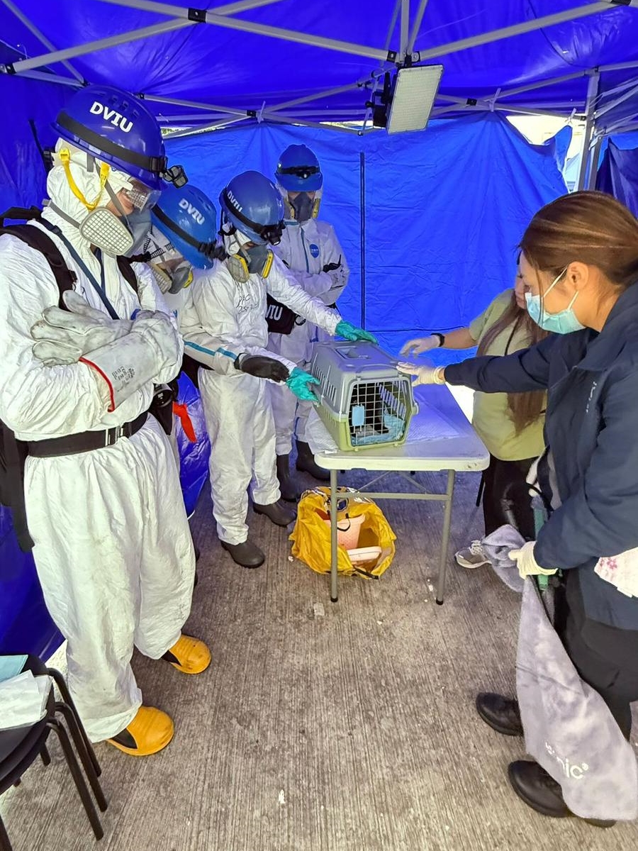 警方DVIU人員災後第8日再次進入大廈，拯救被困動物。