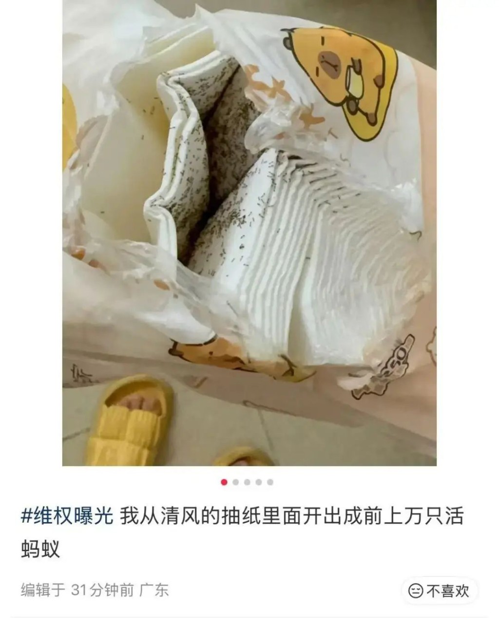 内地品牌清风生产的抽纸,被指有大量蚂蚁。 内地品牌清风生产的抽纸,被指有大量蚂蚁。
