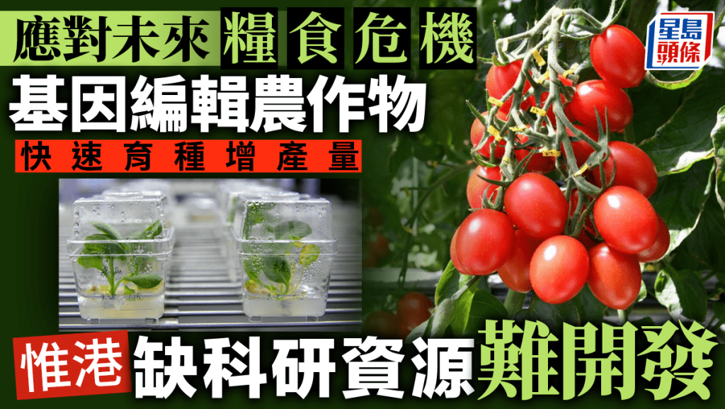 基因編輯技術近年被應用在農作物上，以應對糧食危機。