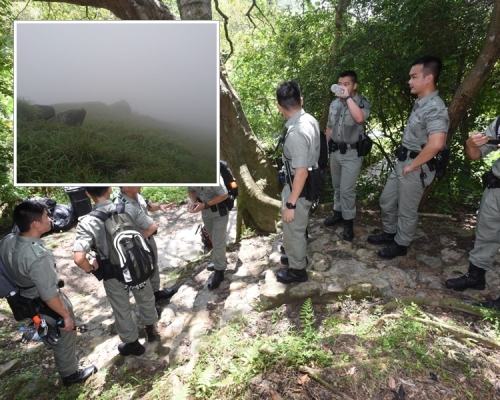 多個政府部門繼續在大嶼山搜索失蹤44歲男子鍾旭華。  梁國峰攝