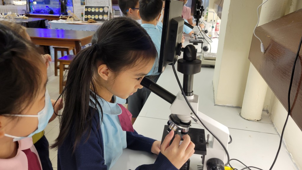 (圖片來源:西貢崇真天主教學校(小學部)) (圖片來源:西貢崇真天主教學校(小學部))